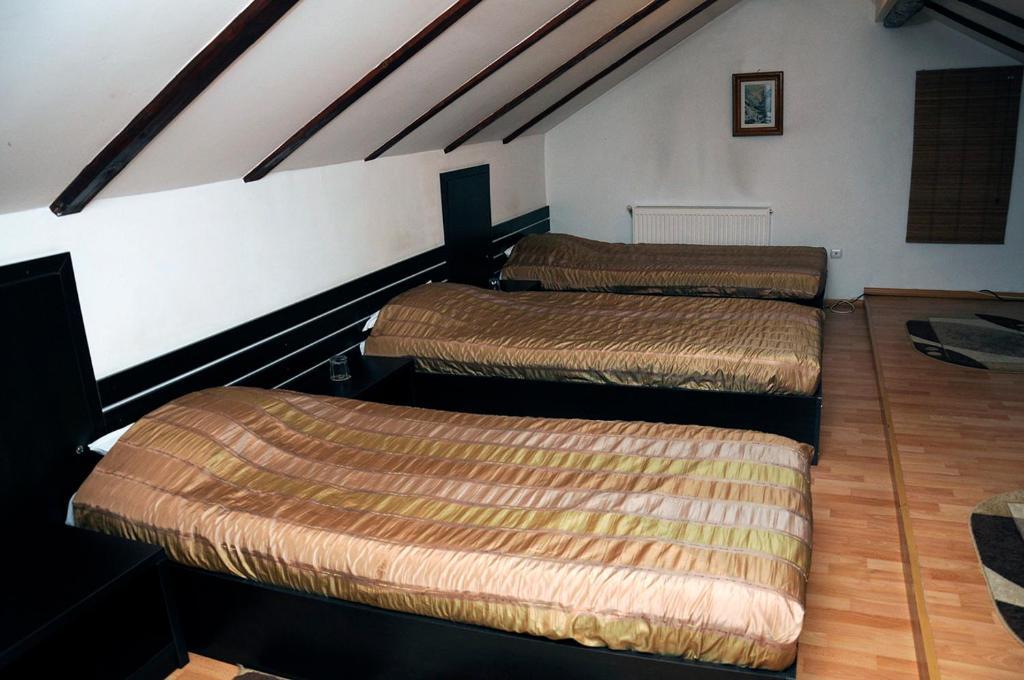 Pension Ambiance Iasi Room photo