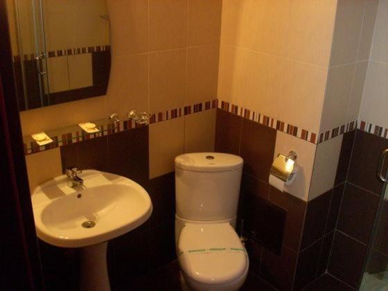 Pension Ambiance Iasi Room photo